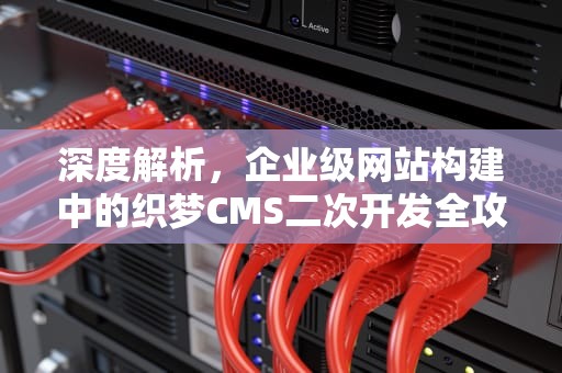深度解析，企业级网站构建中的织梦CMS二次开发全攻略，织梦二次开发视频素材下载整站代码