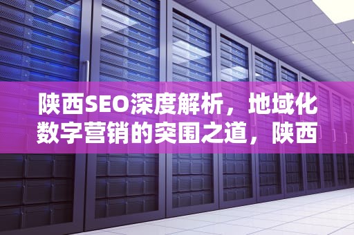 陕西SEO深度解析，地域化数字营销的突围之道，陕西seo公司