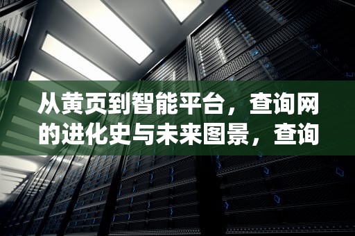 从黄页到智能平台，查询网的进化史与未来图景，查询网域名ip138
