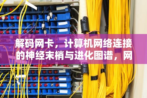 解码网卡，计算机网络连接的神经末梢与进化图谱，网卡是什么原因