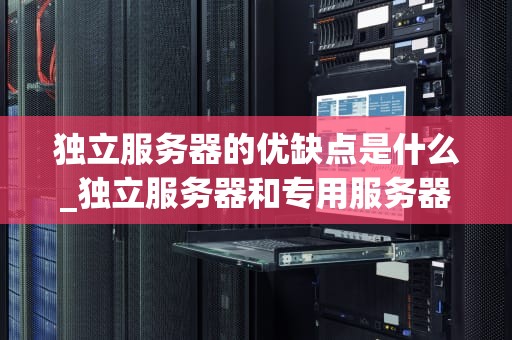 独立服务器的优缺点是什么_独立服务器和专用服务器的区别_独立服务器的优缺点分析