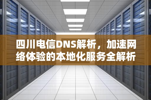 四川电信DNS解析，加速网络体验的本地化服务全解析，四川电信dns地址
