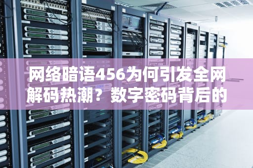 网络暗语456为何引发全网解码热潮？数字密码背后的社交狂欢与代际裂痕，网络用语456什么意思?