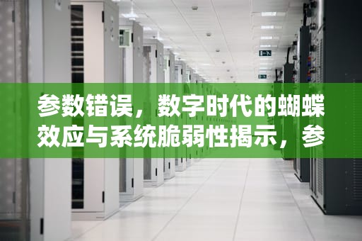 参数错误，数字时代的蝴蝶效应与系统脆弱性揭示，参数错误是什么意思
