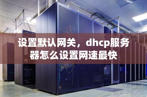 设置默认网关，dhcp服务器怎么设置网速最快