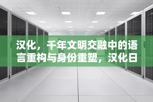 汉化，千年文明交融中的语言重构与身份重塑，汉化日记