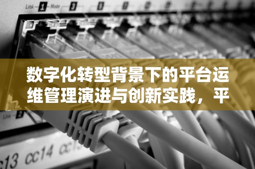 数字化转型背景下的平台运维管理演进与创新实践，平台运维管理制度