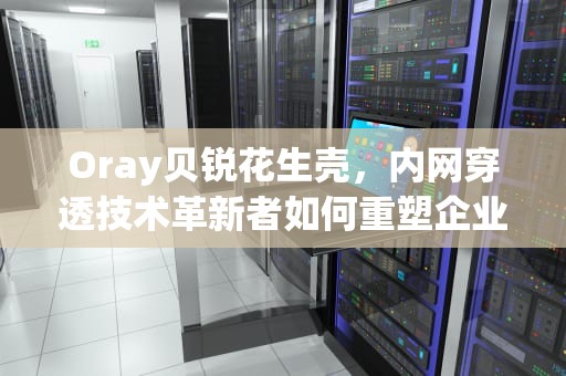 Oray贝锐花生壳，内网穿透技术革新者如何重塑企业远程服务格局，贝锐科技花生壳是啥