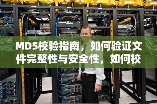 MD5校验指南，如何验证文件完整性与安全性，如何校验md5值