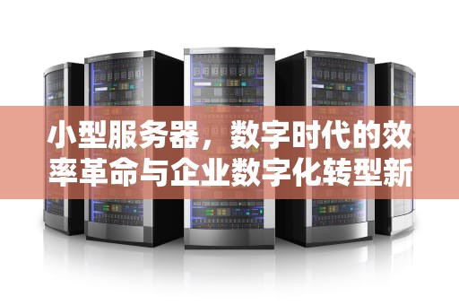 小型服务器，数字时代的效率革命与企业数字化转型新引擎，小型服务器多少钱一台