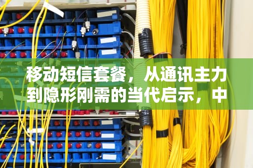 移动短信套餐，从通讯主力到隐形刚需的当代启示，中国移动短信套餐