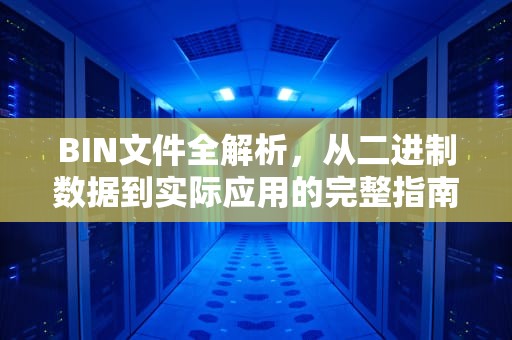 BIN文件全解析，从二进制数据到实际应用的完整指南，bin文件是什么意思