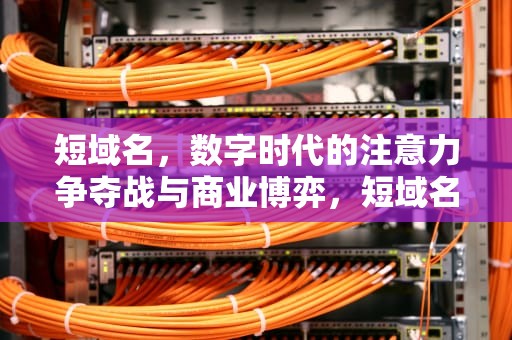 短域名，数字时代的注意力争夺战与商业博弈，短域名购买