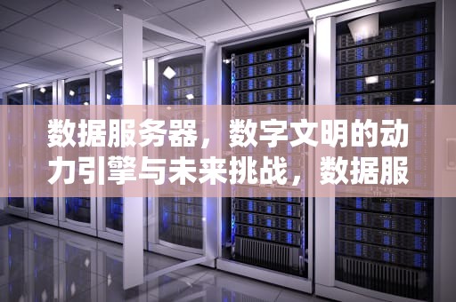 数据服务器，数字文明的动力引擎与未来挑战，数据服务器是什么东西