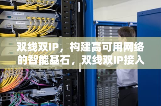 双线双IP，构建高可用网络的智能基石，双线双IP接入网络拓扑图