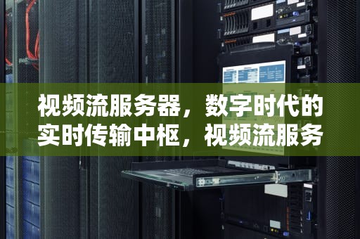 视频流服务器，数字时代的实时传输中枢，视频流服务器搭建