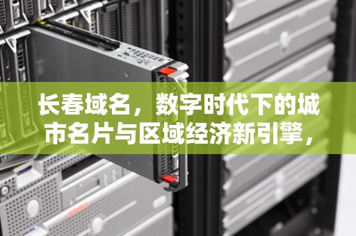 长春域名，数字时代下的城市名片与区域经济新引擎，长春域名是什么