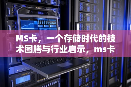 MS卡，一个存储时代的技术图腾与行业启示，ms卡是什么卡