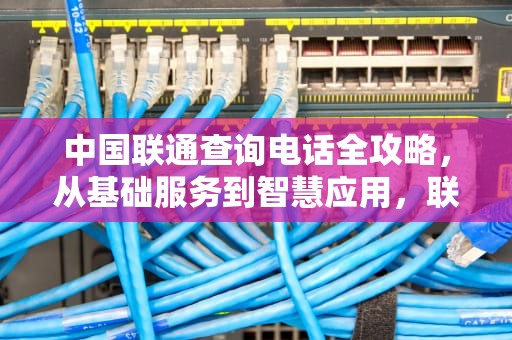 中国联通查询电话全攻略，从基础服务到智慧应用，联通查询电话人工服务
