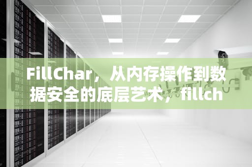 FillChar，从内存操作到数据安全的底层艺术，fillchar什么意思