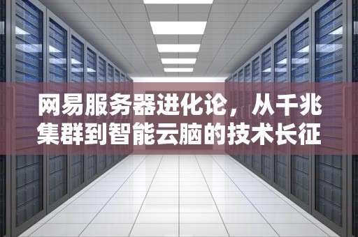 网易服务器进化论，从千兆集群到智能云脑的技术长征，网易服务器在哪里