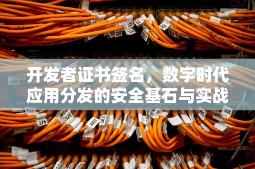 开发者证书签名，数字时代应用分发的安全基石与实战解析，用开发者证书签名,再上传到Diawi