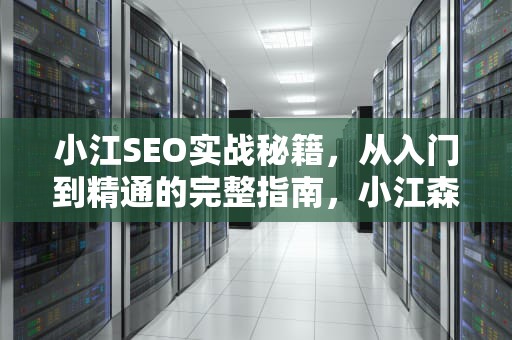 小江SEO实战秘籍，从入门到精通的完整指南，小江森是哪个公司