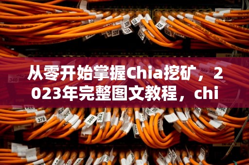 从零开始掌握Chia挖矿，2023年完整图文教程，chia 挖矿教程