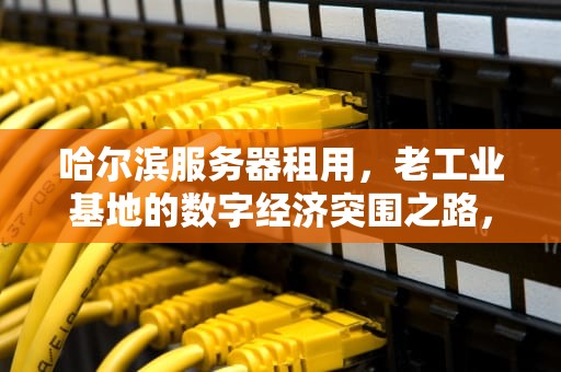 哈尔滨服务器租用，老工业基地的数字经济突围之路，哈尔滨服务器租用公司