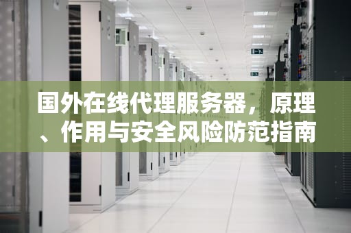 国外在线代理服务器，原理、作用与安全风险防范指南，国外在线代理服务器免费网页版