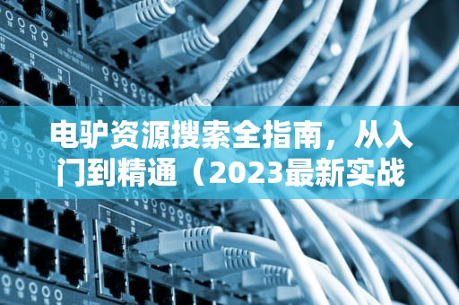 电驴资源搜索全指南，从入门到精通（2023最新实战技巧）电驴怎么搜索不到内容