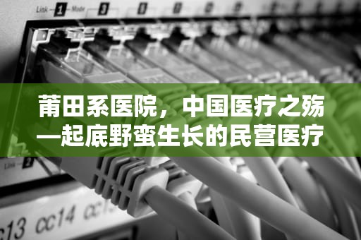 莆田系医院，中国医疗之殇—起底野蛮生长的民营医疗帝国，福建莆田系医院是什么意思