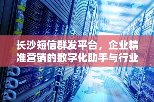 长沙短信群发平台，企业精准营销的数字化助手与行业应用分析，长沙短信群发平台公司