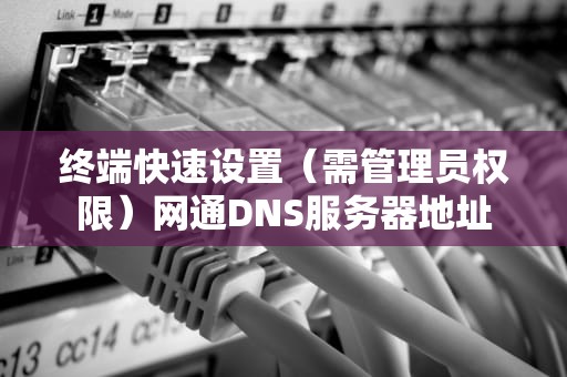 终端快速设置（需管理员权限）网通DNS服务器地址