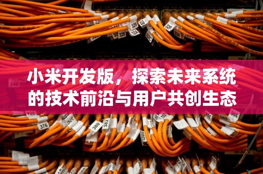 小米开发版，探索未来系统的技术前沿与用户共创生态，小米开发版和稳定版有什么区别