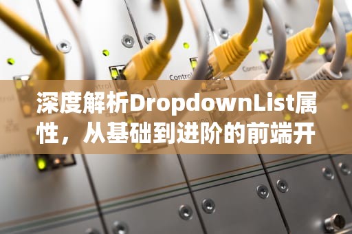 深度解析DropdownList属性，从基础到进阶的前端开发实战指南，DropDownList属性