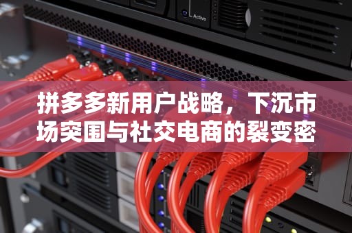 拼多多新用户战略，下沉市场突围与社交电商的裂变密码，拼多多新用户返现40元是真的吗