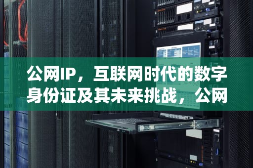 公网IP，互联网时代的数字身份证及其未来挑战，公网ip查询