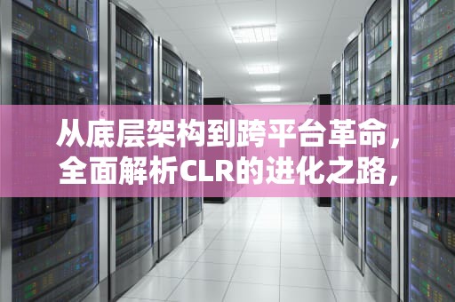 从底层架构到跨平台革命，全面解析CLR的进化之路，clr表示什么意思