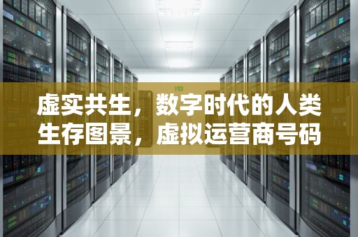 虚实共生，数字时代的人类生存图景，虚拟运营商号码是什么意思