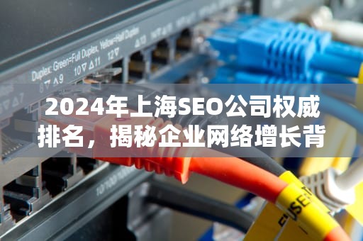 2024年上海SEO公司权威排名，揭秘企业网络增长背后的核心服务商，上海比较好的seo公司