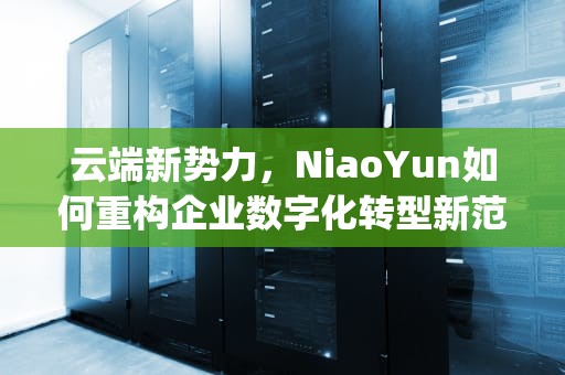 云端新势力，NiaoYun如何重构企业数字化转型新范式，云服务器gpu租用
