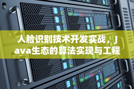人脸识别技术开发实战，Java生态的算法实现与工程化应用，人脸识别java实现