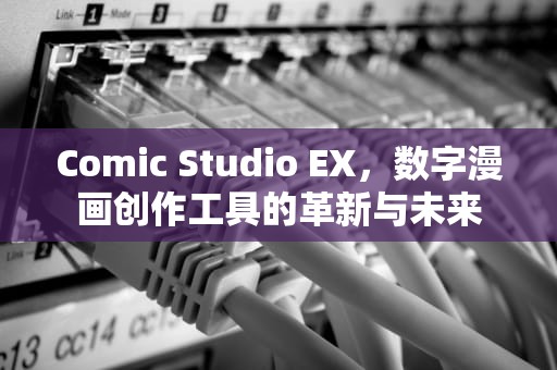 Comic Studio EX，数字漫画创作工具的革新与未来
