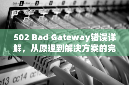 502 Bad Gateway错误详解，从原理到解决方案的完全指南，502 bad gateway如何解决
