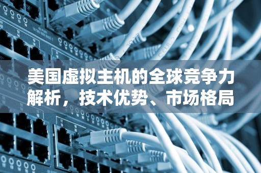 美国虚拟主机的全球竞争力解析，技术优势、市场格局与用户选择指南，美国虚拟主机公司