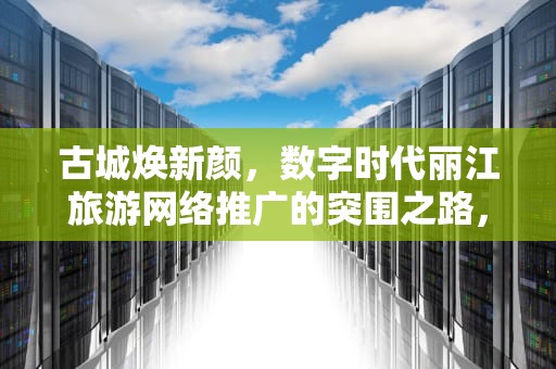 古城焕新颜，数字时代丽江旅游网络推广的突围之路，丽江网络推广开发