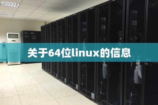 关于64位linux的信息