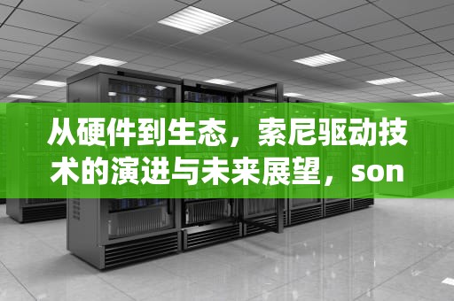 从硬件到生态，索尼驱动技术的演进与未来展望，sony驱动官网