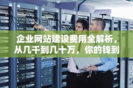 企业网站建设费用全解析，从几千到几十万，你的钱到底花在哪里？公司建网站多少钱合适